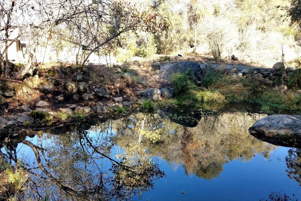 River Retreat Cabin In Three Rivers - Near Snp别墅 外观 照片