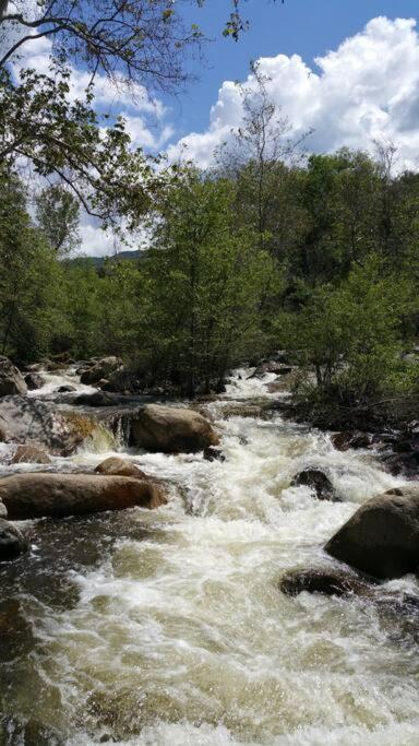 River Retreat Cabin In Three Rivers - Near Snp别墅 外观 照片