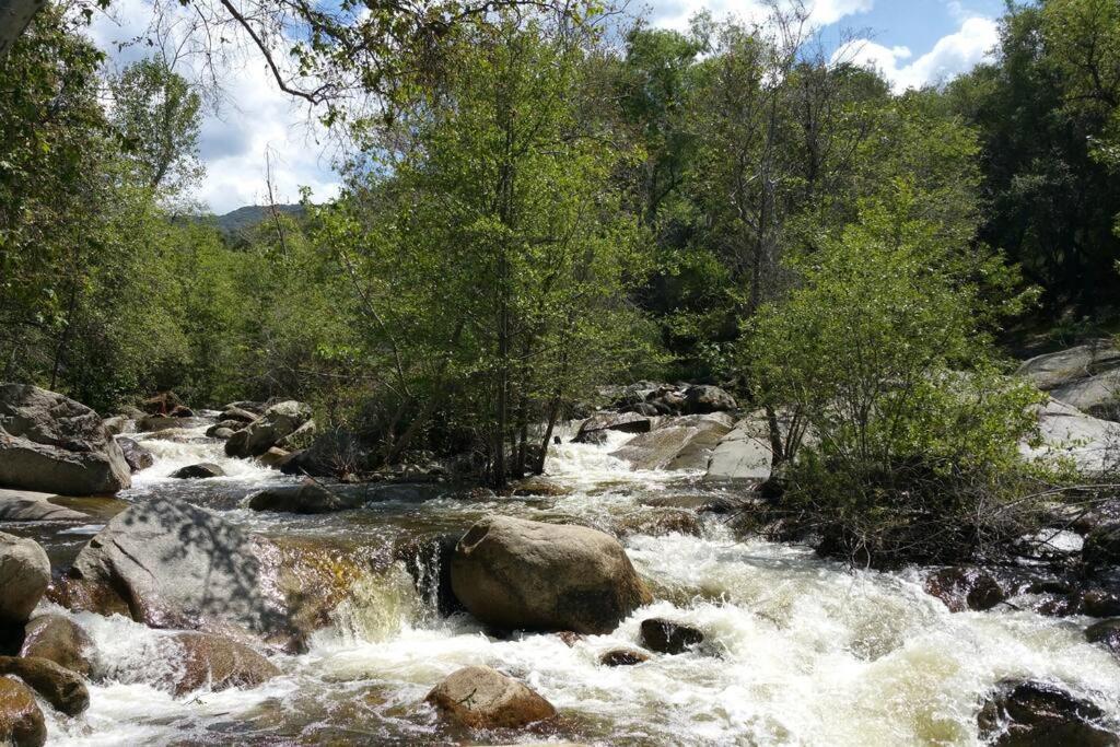 River Retreat Cabin In Three Rivers - Near Snp别墅 外观 照片