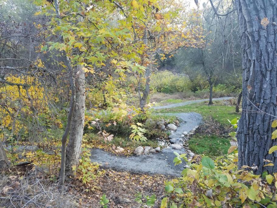 River Retreat Cabin In Three Rivers - Near Snp别墅 外观 照片